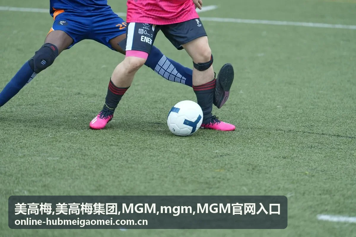 MGM官网入口常见问题卡片