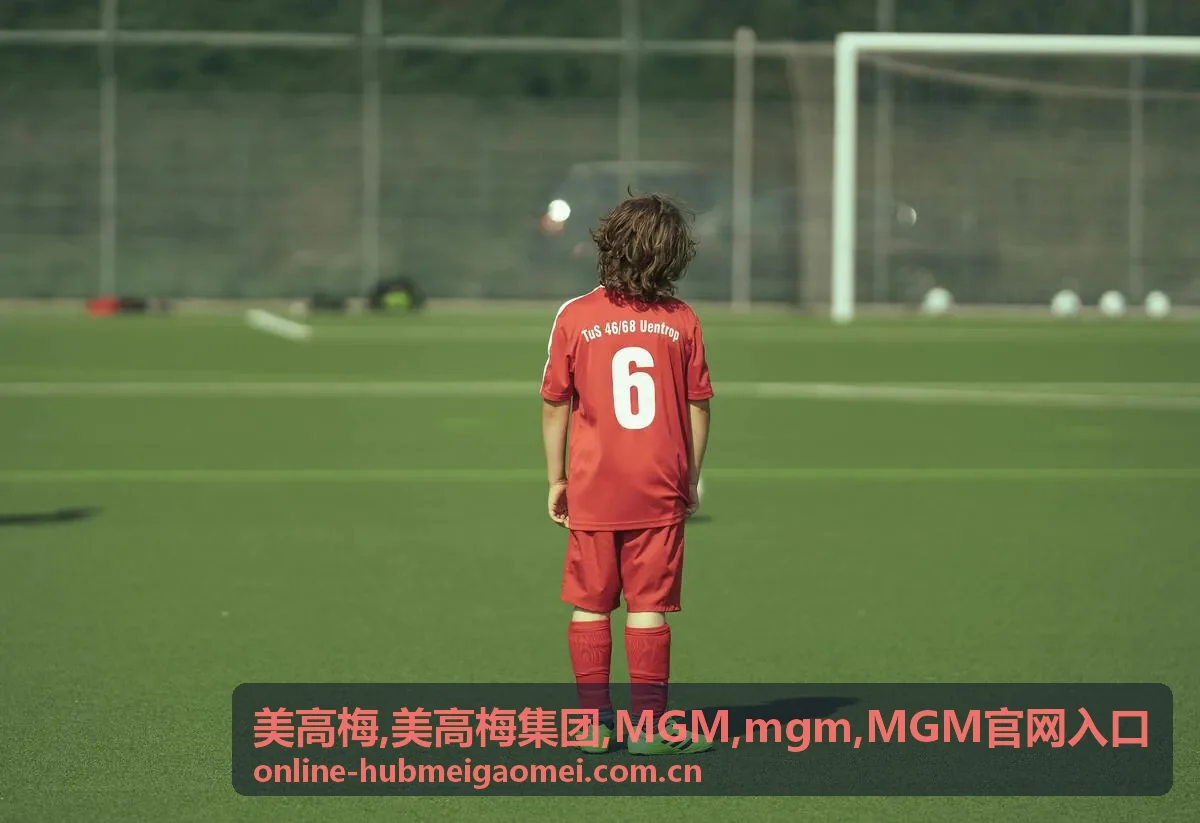 美高梅 MGM官网入口说明封面图